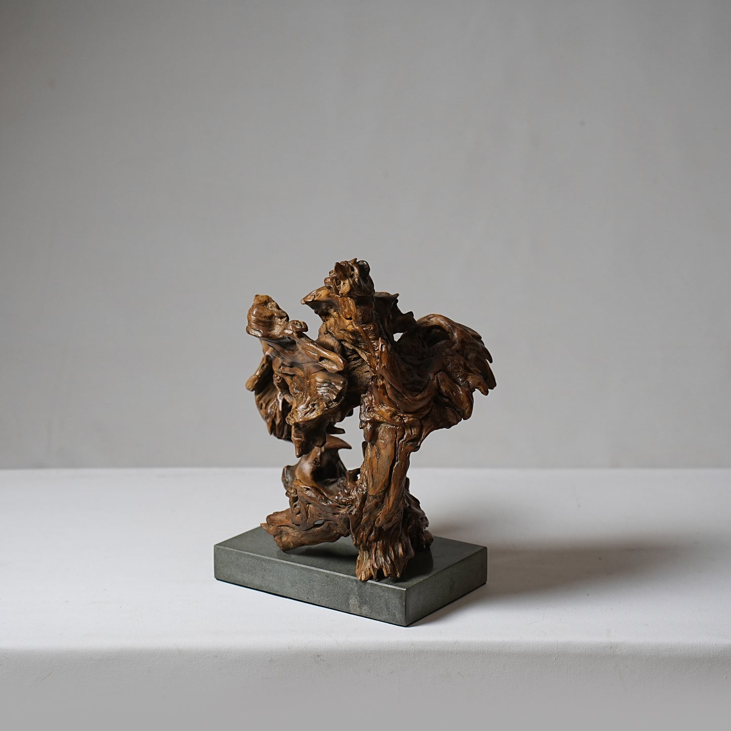 Tree Root no. 005 (small subscription)