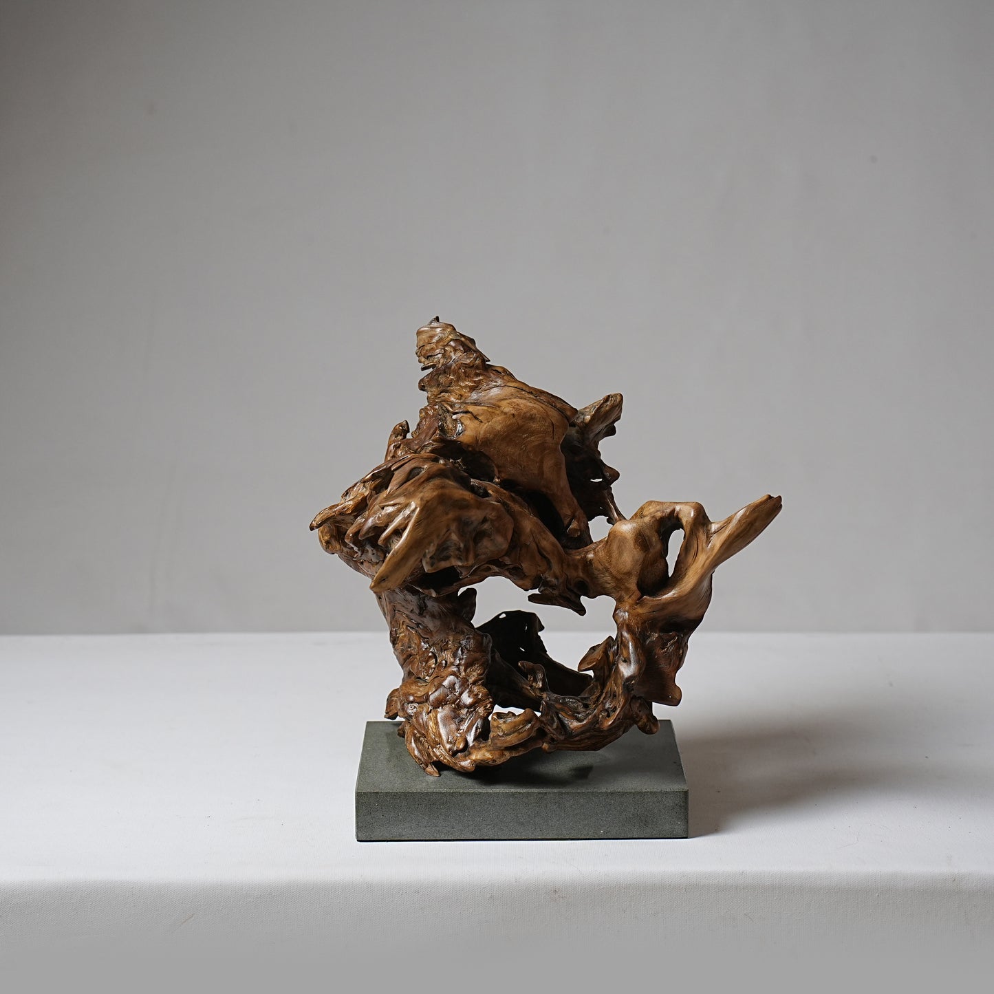 Tree Root no. 005 (small subscription)