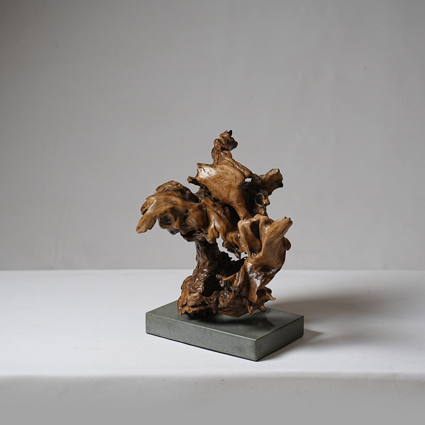 Tree Root no. 005 (small subscription)