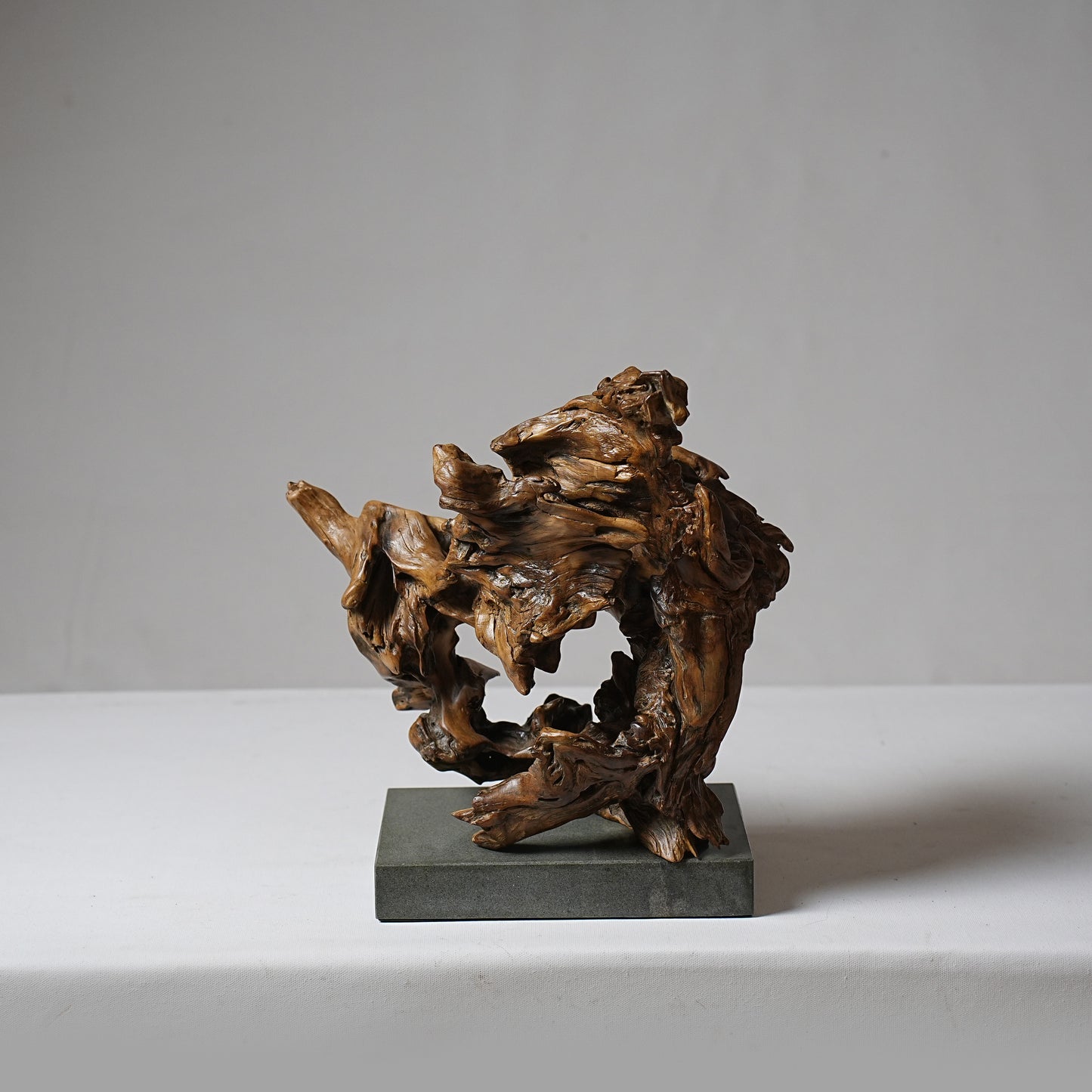 Tree Root no. 005 (small subscription)