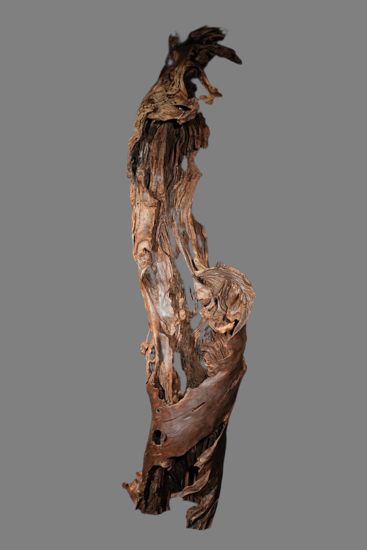 6 Ft Tall Tree Root Sculpture F-01 (large subscription)