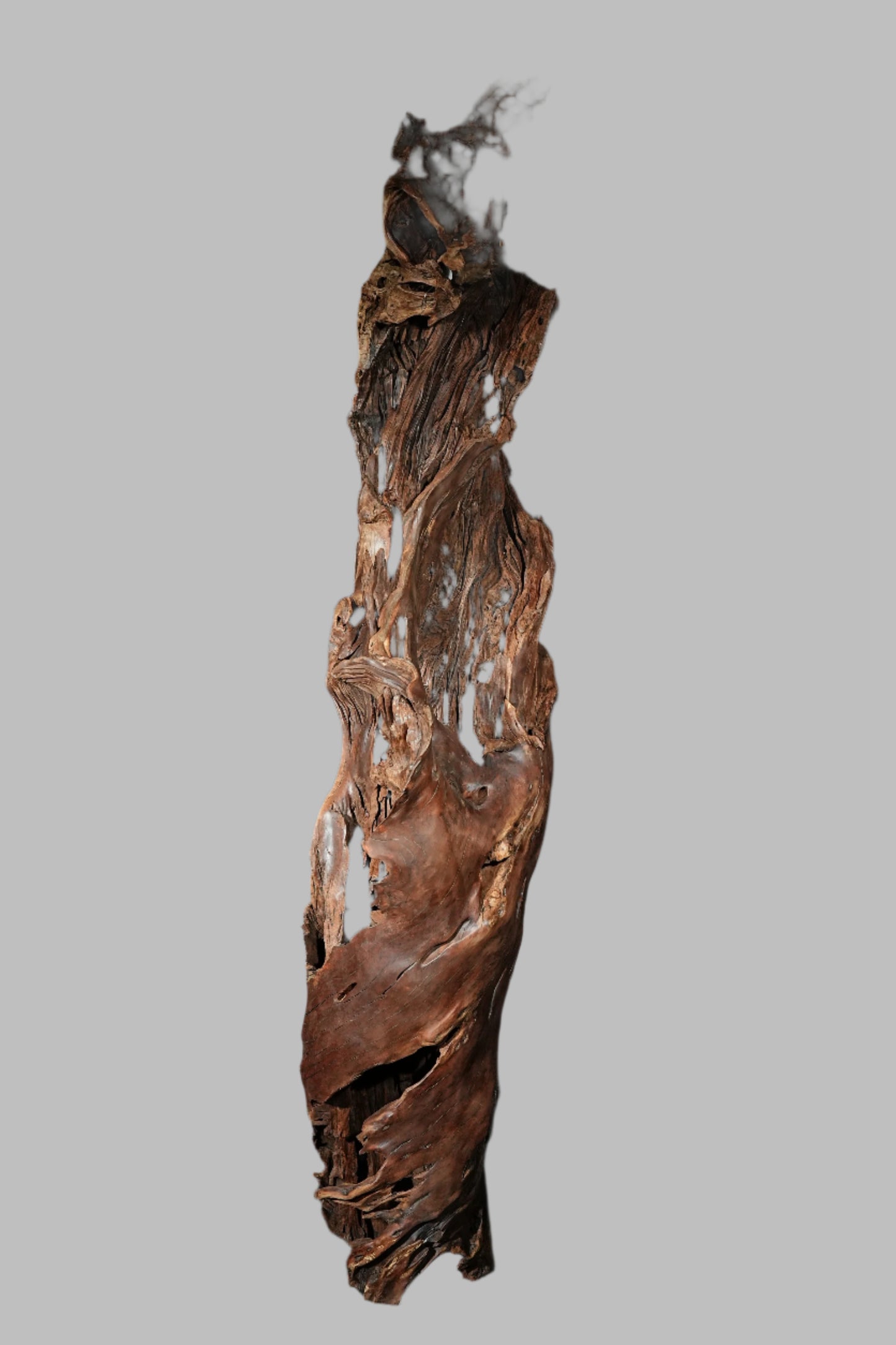 6 Ft Tall Tree Root Sculpture F-01 (large subscription)