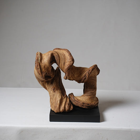 Tree Root no. 012